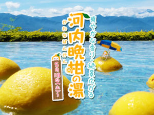 河内晩柑の湯