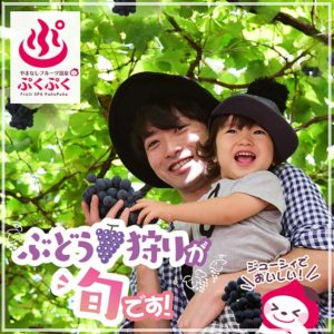 ぶどう狩り