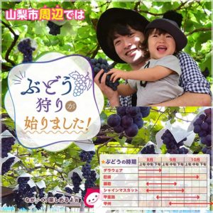 2021年最新ぶどう狩り情報