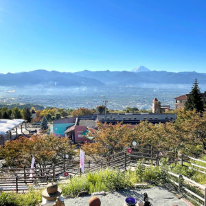 今日はお天気に恵まれて気持ちの良い朝です