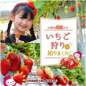 2022年最新いちご狩り情報