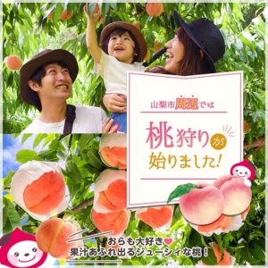 2022年最新もも狩り情報✨