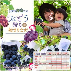 2022年最新ぶどう狩り情報