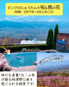 桜と桃の花
