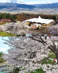 思い出に残る山梨旅行