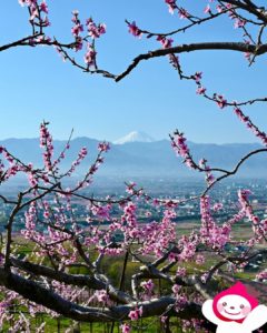 気分転換にドライブ旅行