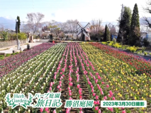 非日常の世界で思い出に残る
