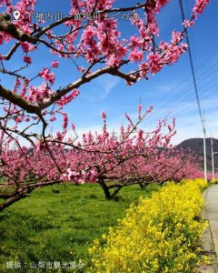 下神内川～笛吹川