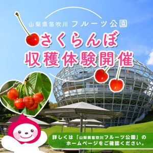 笛吹川フルーツ公園