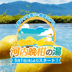 河内晩柑の湯