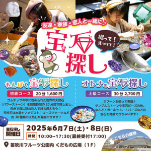 出張宝石探し
