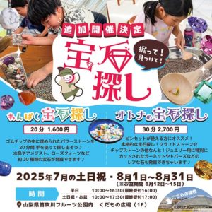 出張宝石探し