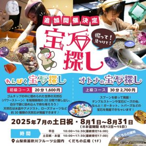 出張宝石探し
