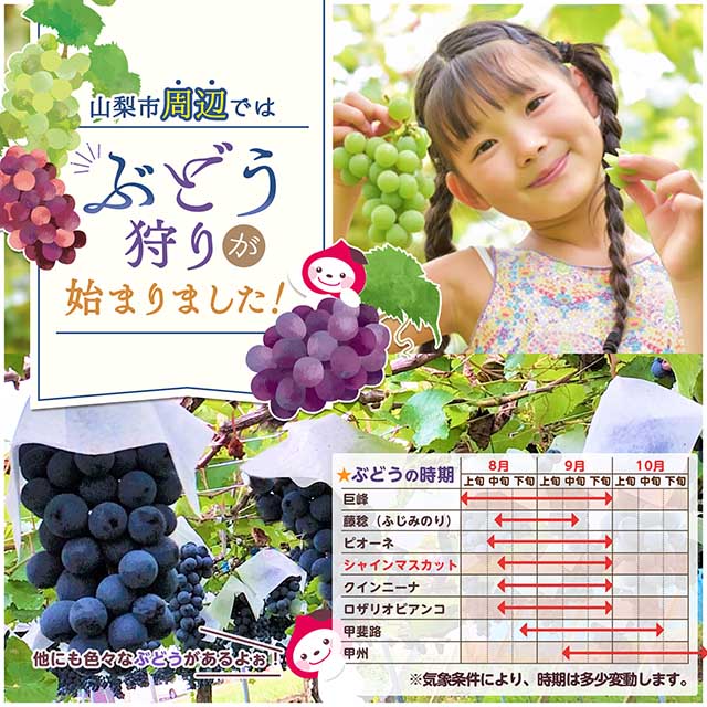 2026年ぶどう狩り情報